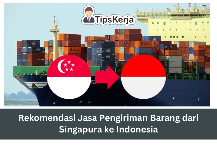 Rekomendasi Forwarder Singapura Ke Indonesia